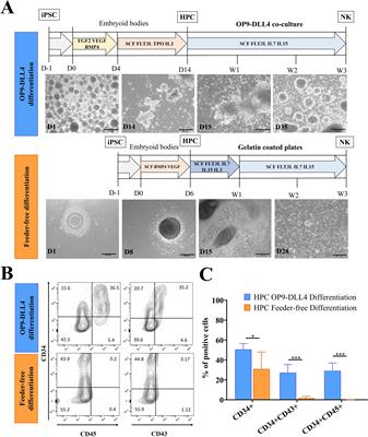 Comparative analysis of iPSC-derived NK cells from two differentiation strategies reveals distinct signatures and cytotoxic activities